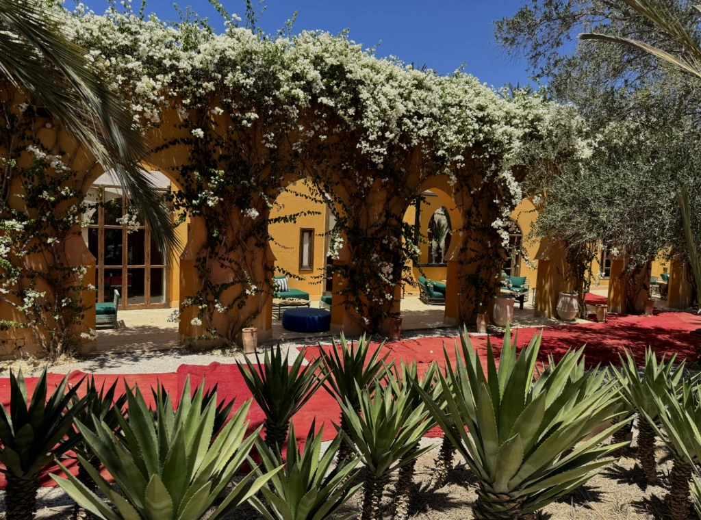 White flowering plants over ochre courtyard arches in Marrakech